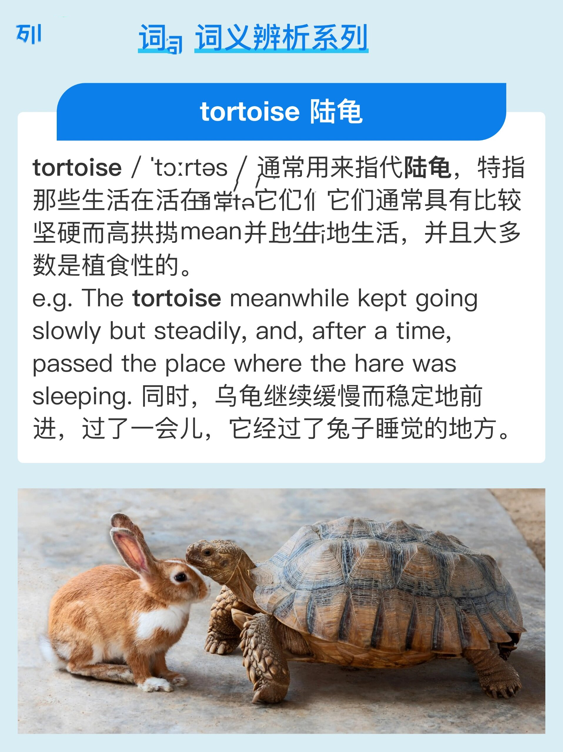 词义辨析:乌龟 turtle, tortoise