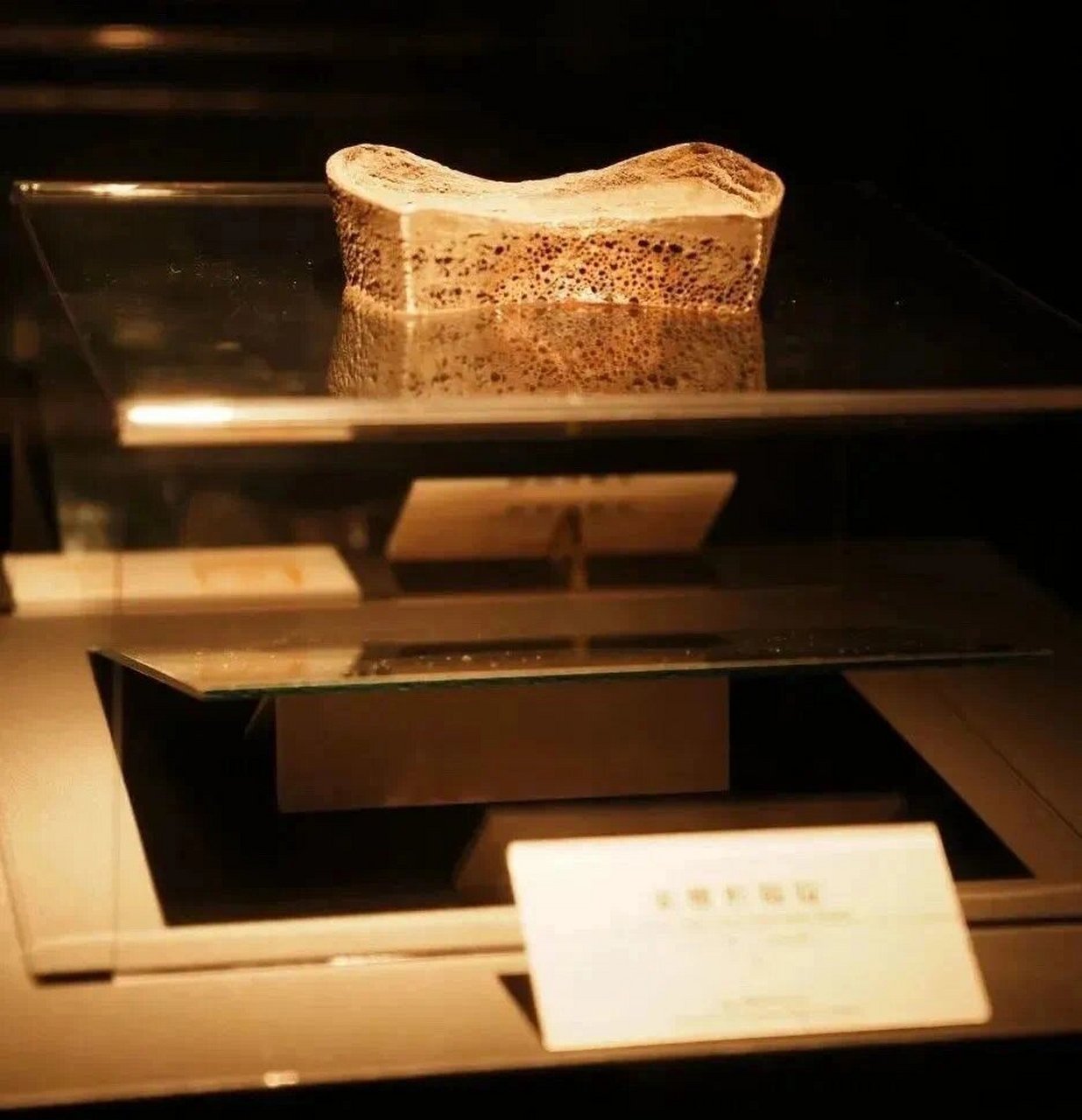 云览 | 金山博物馆 金山区博物馆作为金山地方史志类公益性博物馆组建
