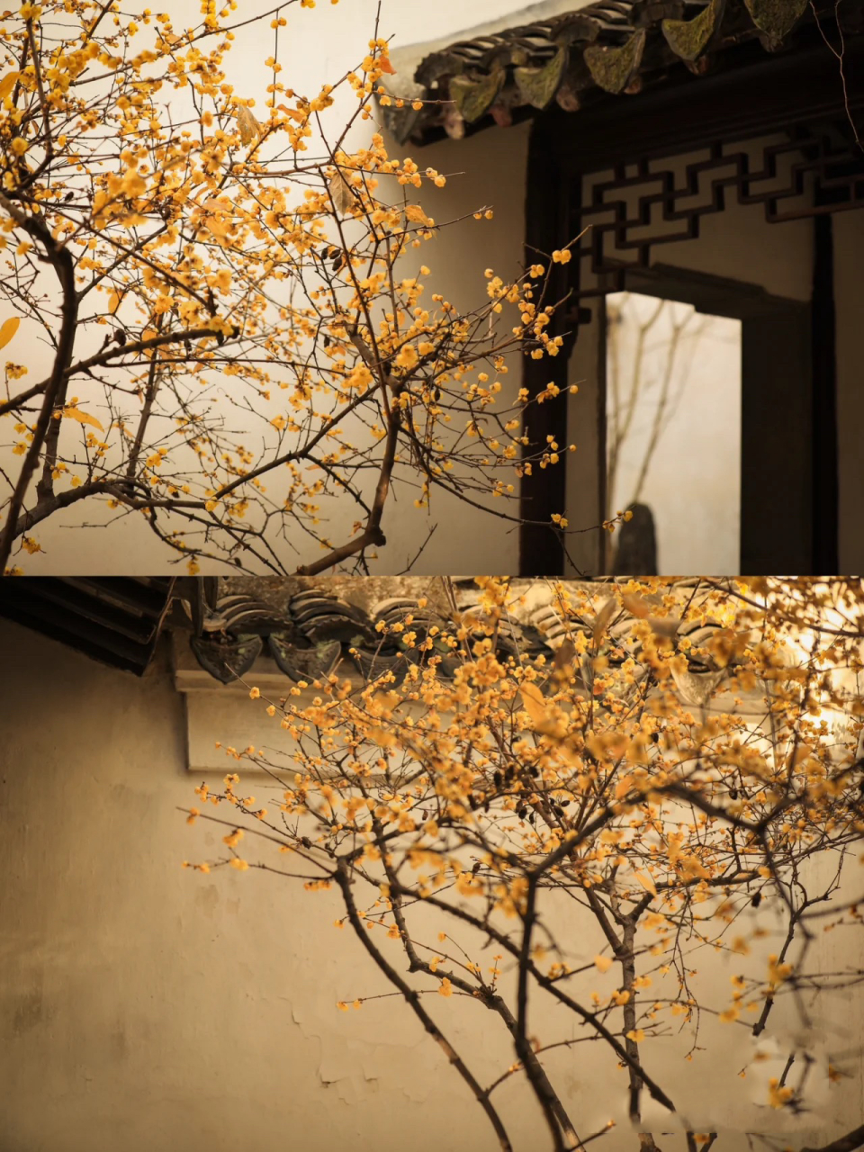 临时补一个喜土木的壁纸头像 刚刚看到的一个博主的图了,喜欢的朋友