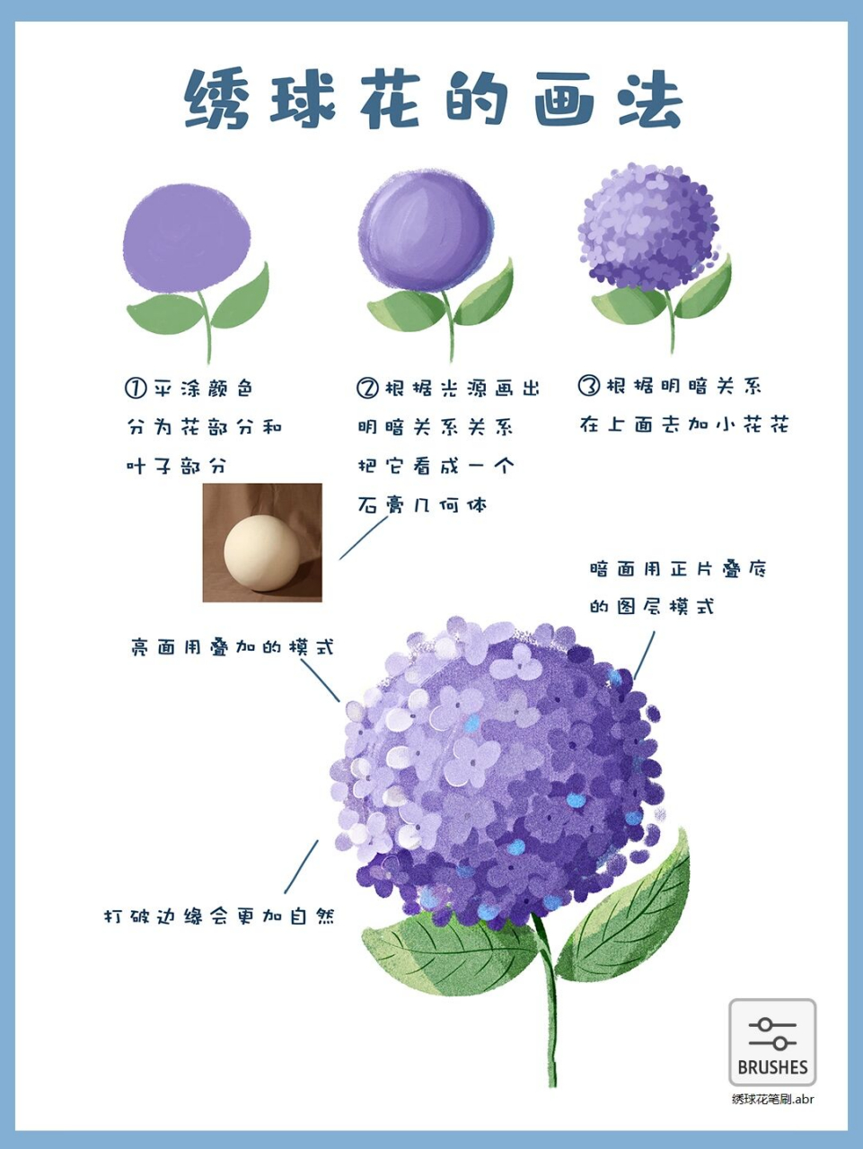 零基础学插画丨超简单的花朵画法-绣球花 今天我们也来画一个绣球花