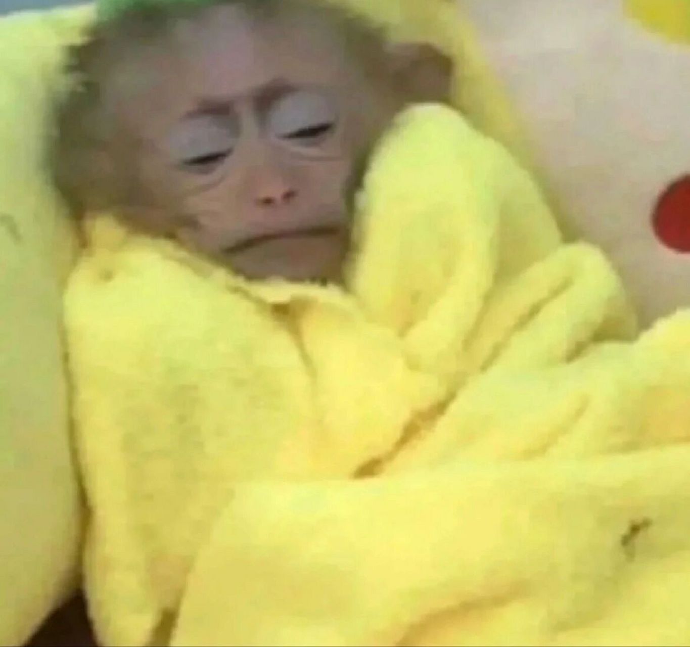 马喽的命也是命 打工人发疯时刻 	 最近真的很爱马骝的表情包