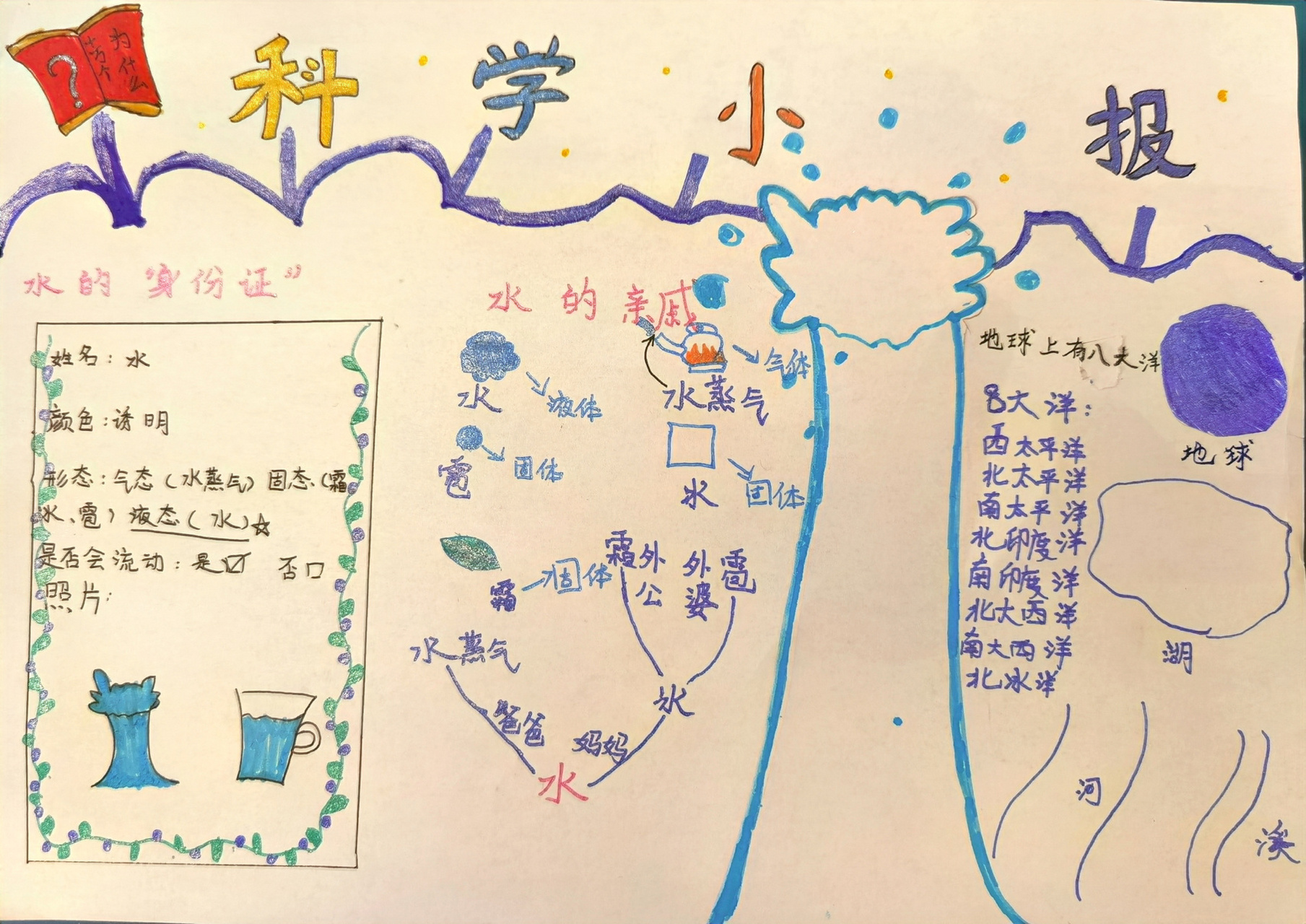 三年级上册科学小报图片