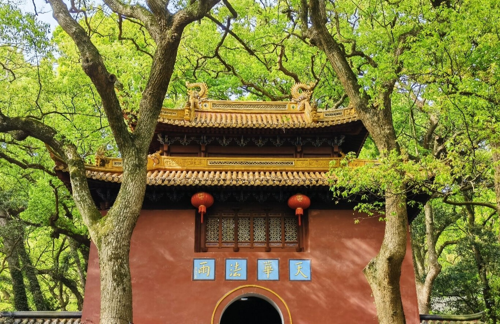 普济寺/法雨寺 普济寺: 普济寺作为普陀山岛上最大的皇家寺院,里面的