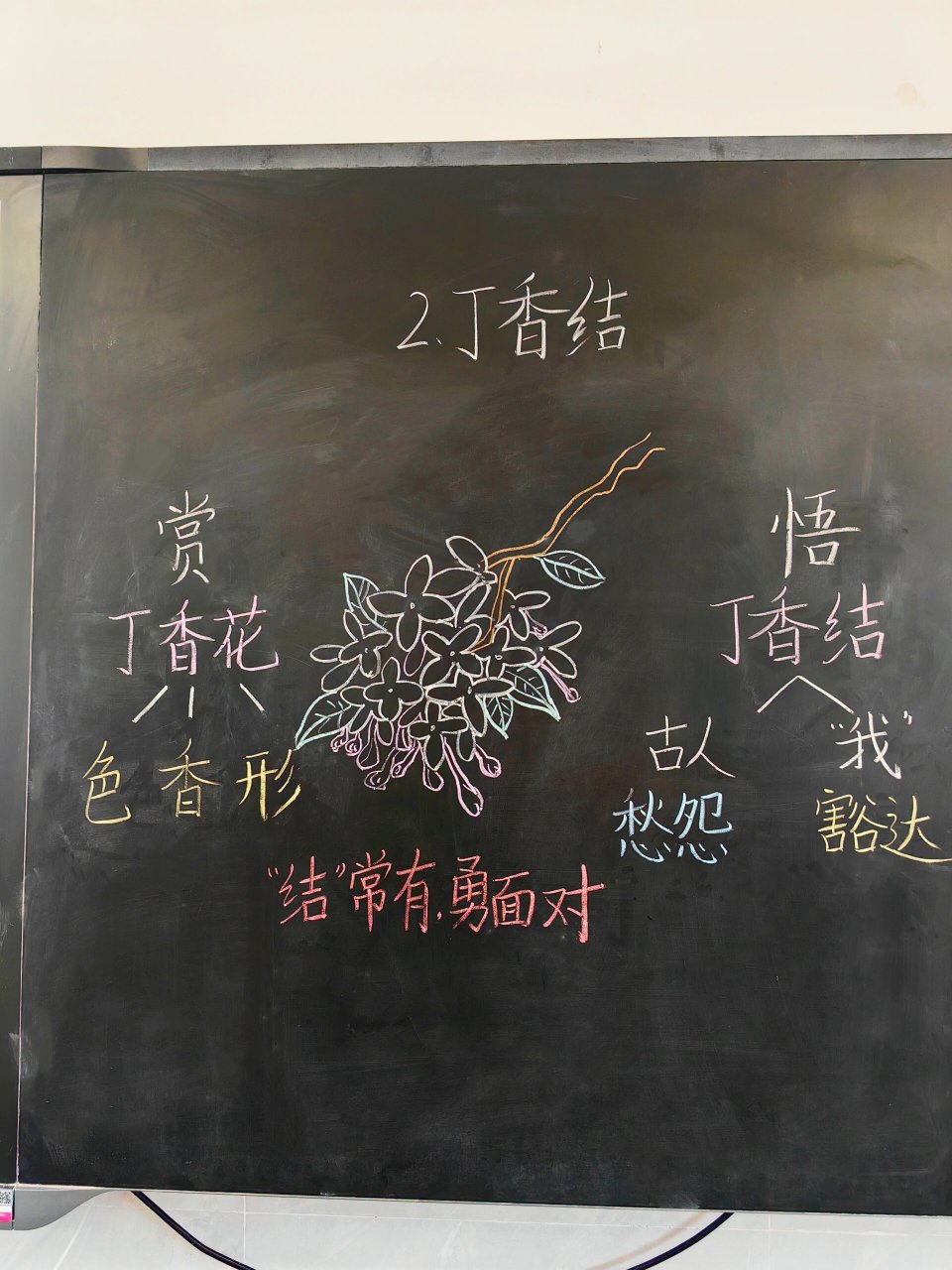 丁香节手抄报图片大全图片