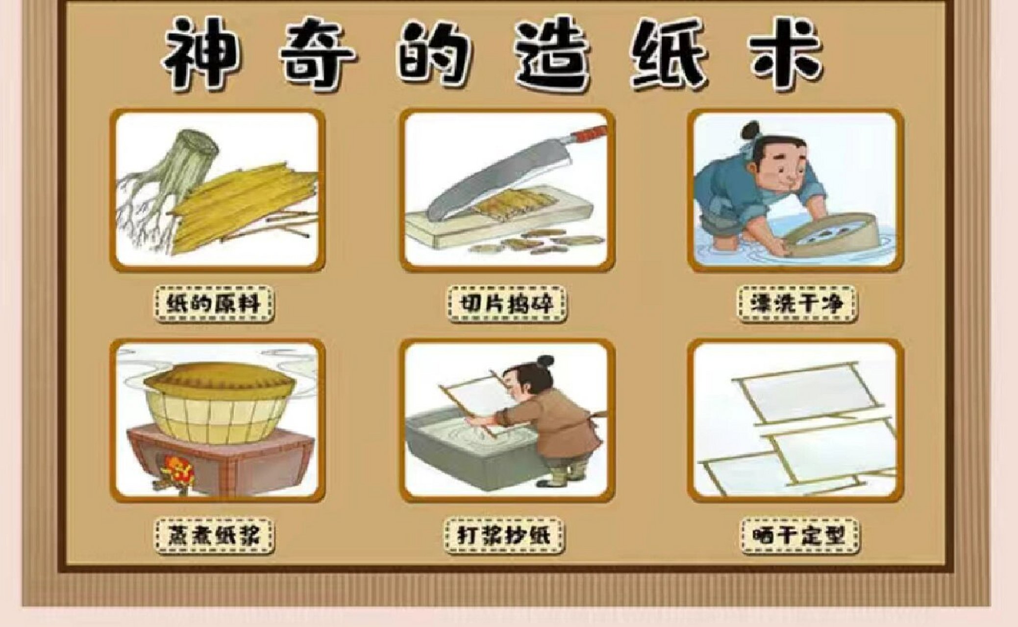 纸和树的关系,纸是怎么来的各.