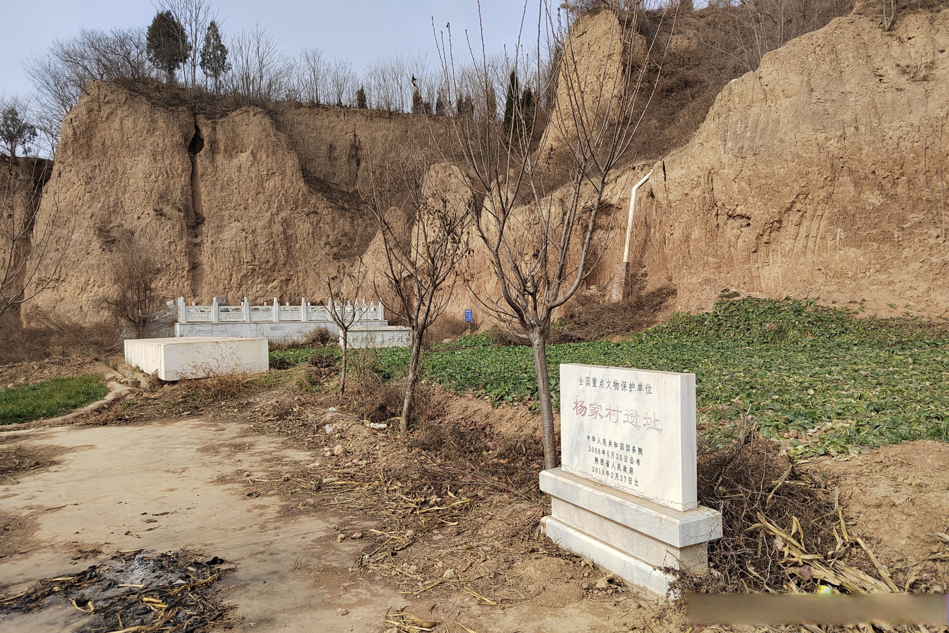 2003年1月19日下午4点左右,在宝鸡市眉县马家镇杨家村北边的土坡上