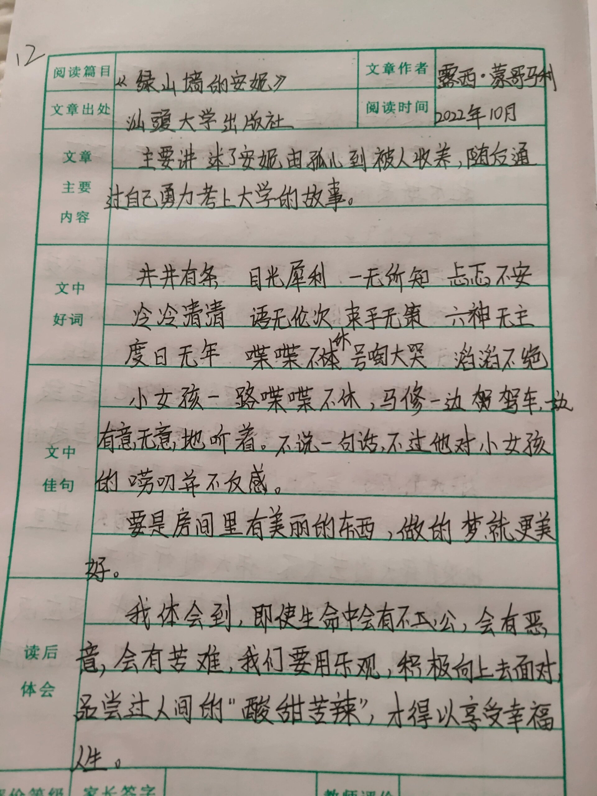 绿山墙的安妮推荐理由图片