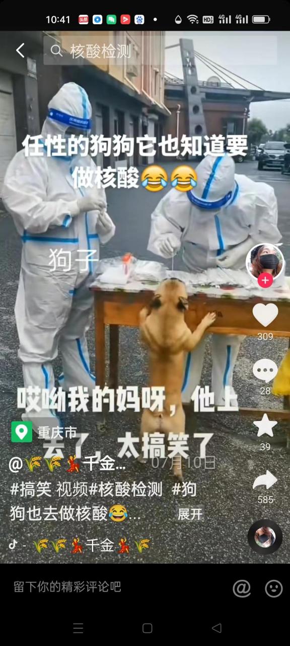 狗狗排队做核酸,不止是可笑那么简单!