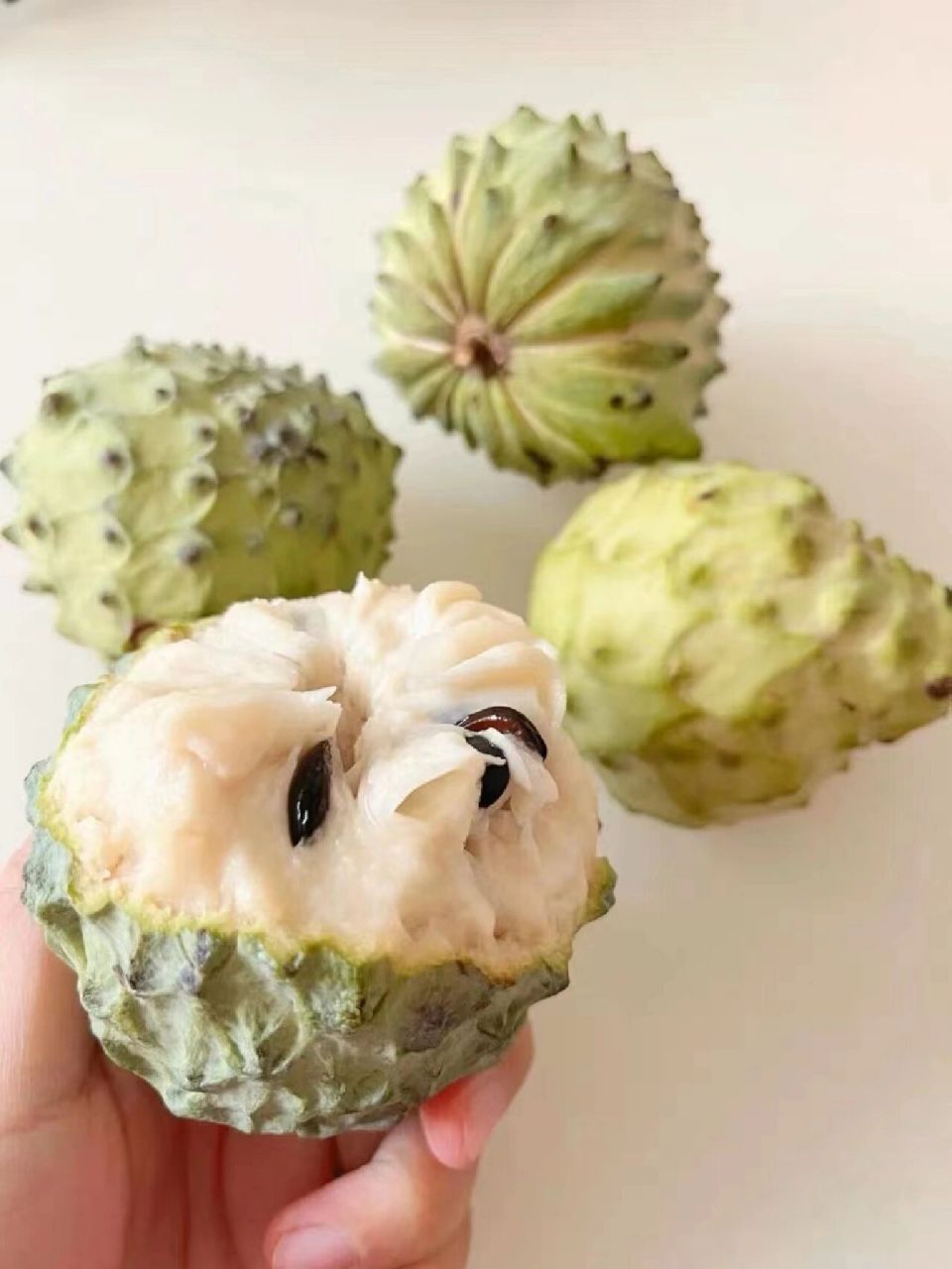 的水果推荐之——释迦果 释迦翠绿如玉的外表,里面是诱人的乳白色果肉