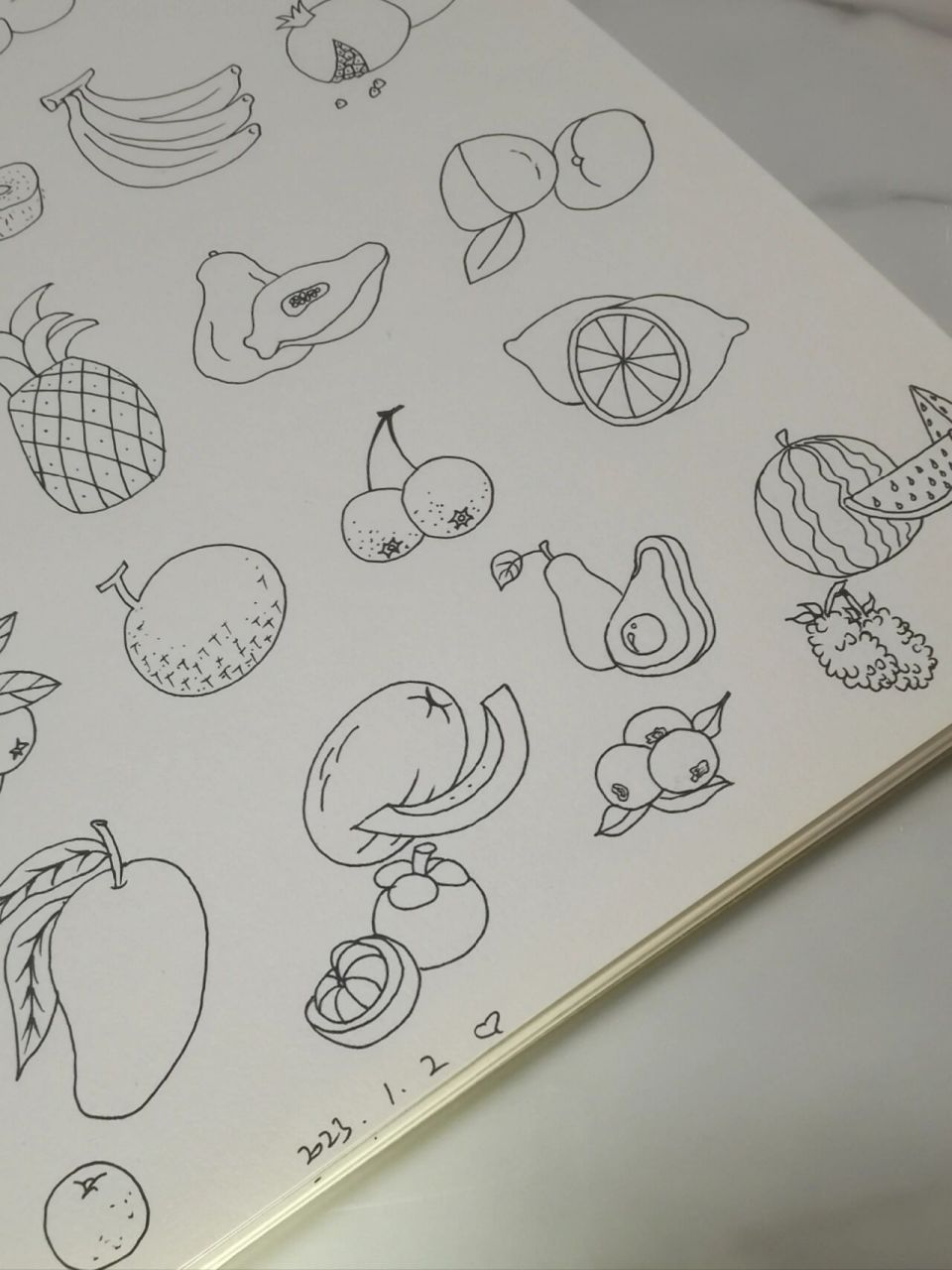 水果的种子简笔画图片