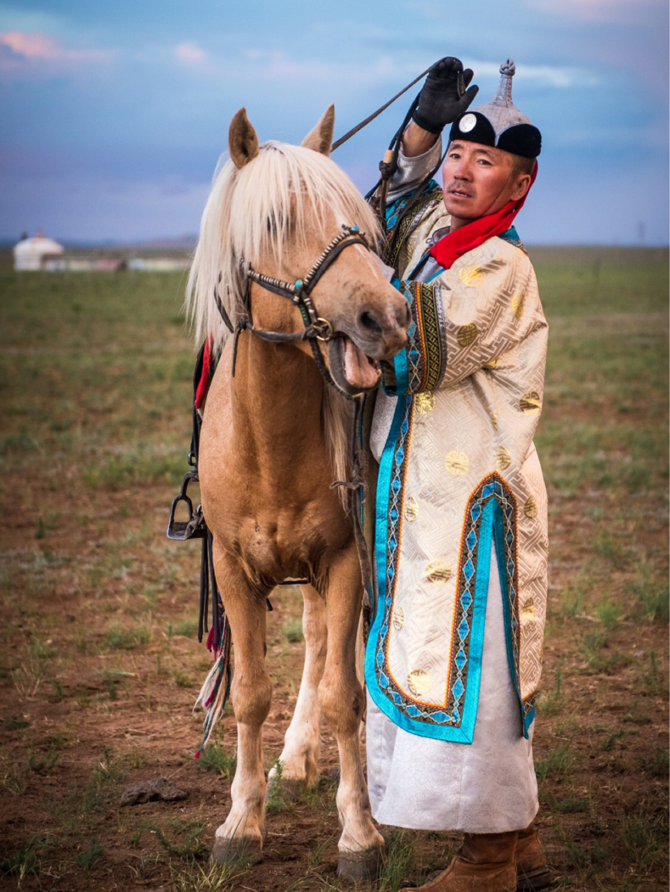 请随我骏马奔驰,放牧红霞 这可能是最壮观的草原奔马!