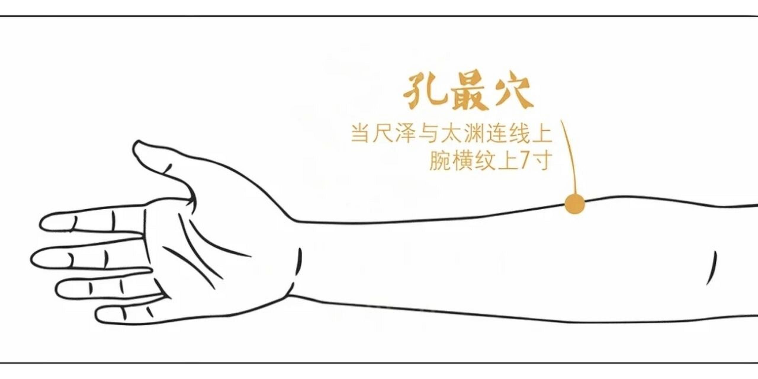 孔最穴 — — 最好的"止咳糖浆"   秋冬季节,很多人稍微受点凉就咳嗽