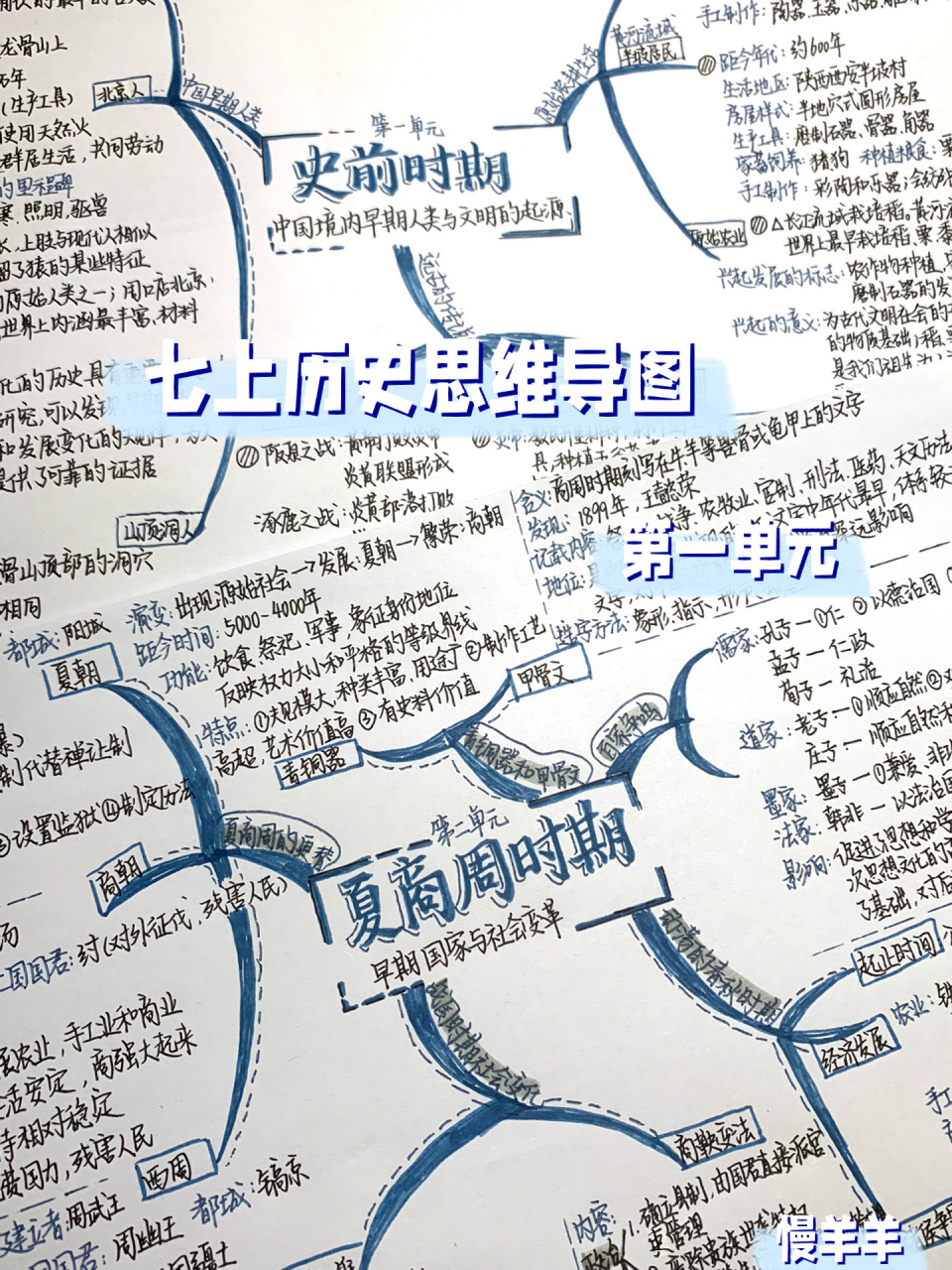 9115七上历史思维导图 七上历史第一单元 史前时期