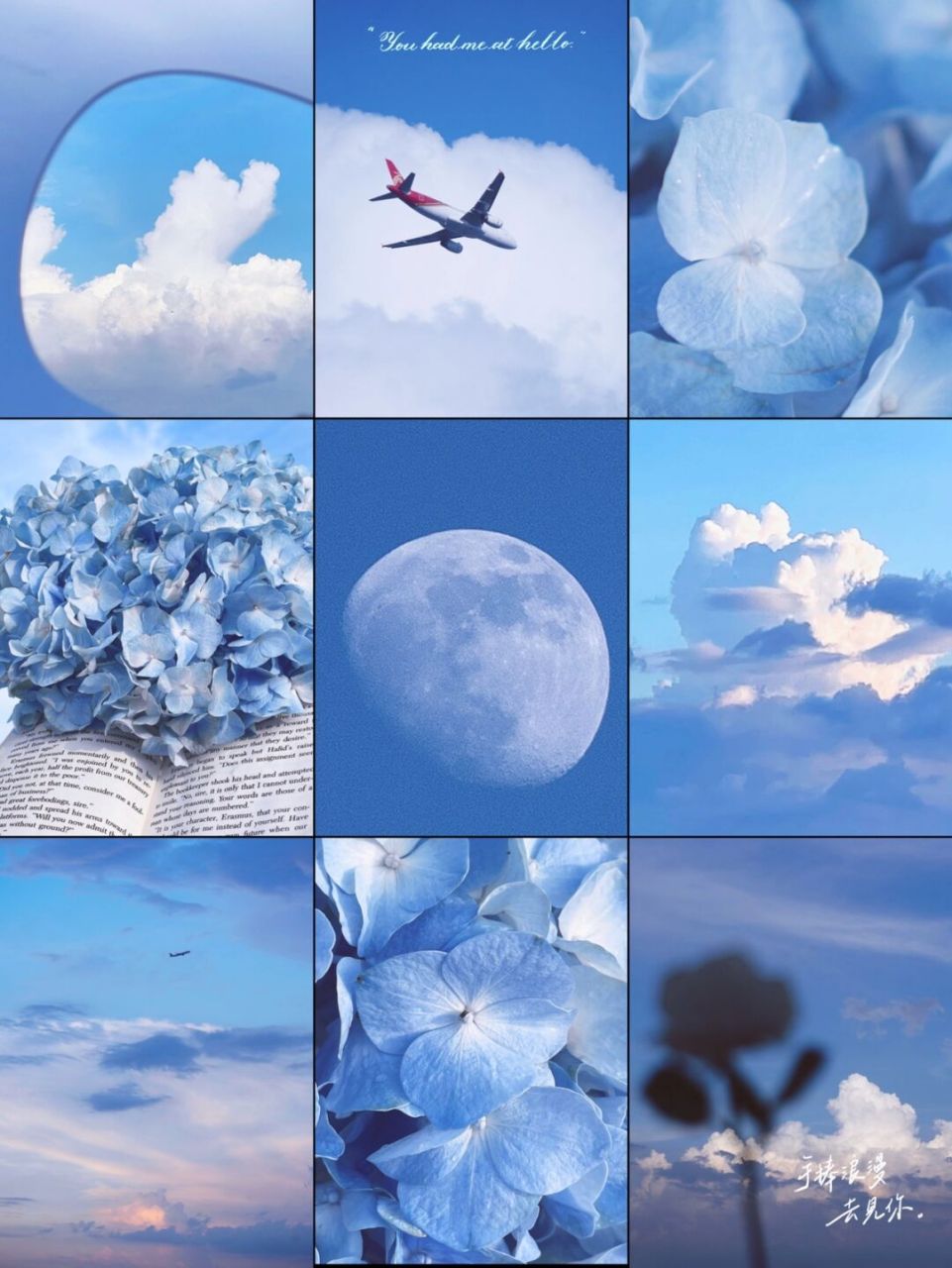 绣球就好适合这种蓝色主题啦! .