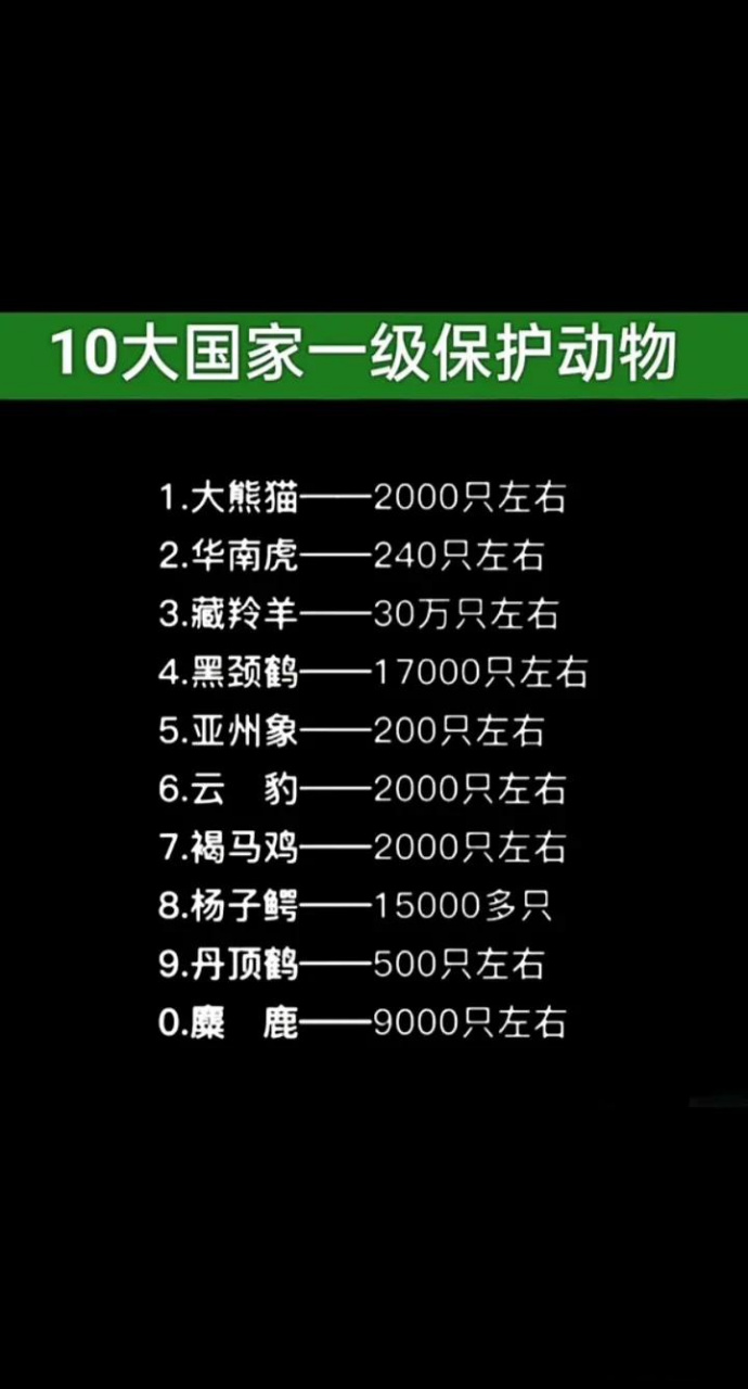 十大国家一级保护动物非野生动物 保护动物