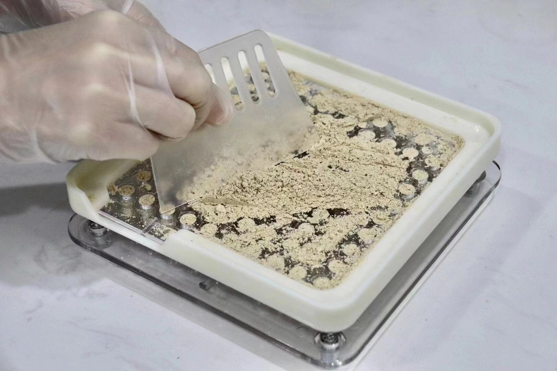 冬虫夏草打粉 冬虫夏草 花旗参 西藏贝母 经典的配方,装成胶囊 更便捷