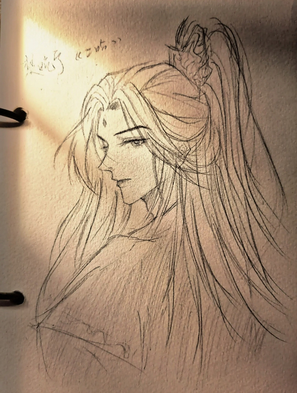 楚晚宁 手绘 《海棠微雨共归途》 |   by 肉包不吃肉