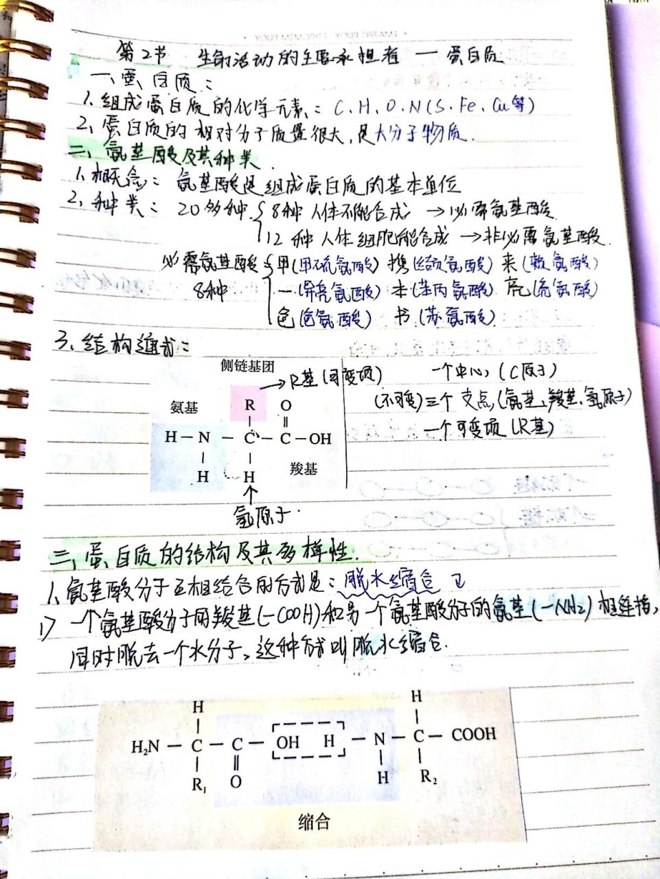 高中生物笔记整理手抄图片