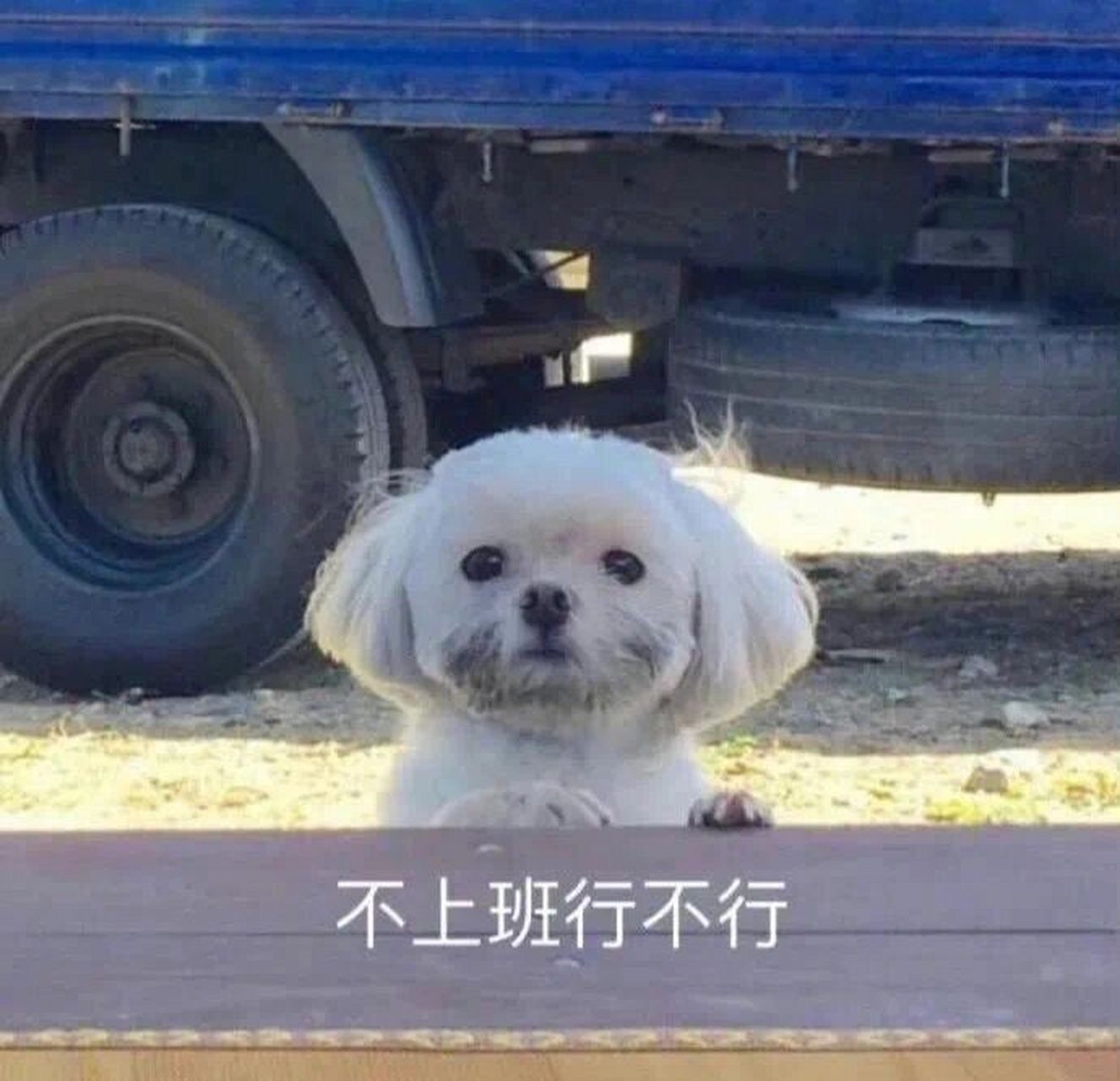 乱七八糟表情包-下班下班 不上班不上班 不上班不上班行不行行不行