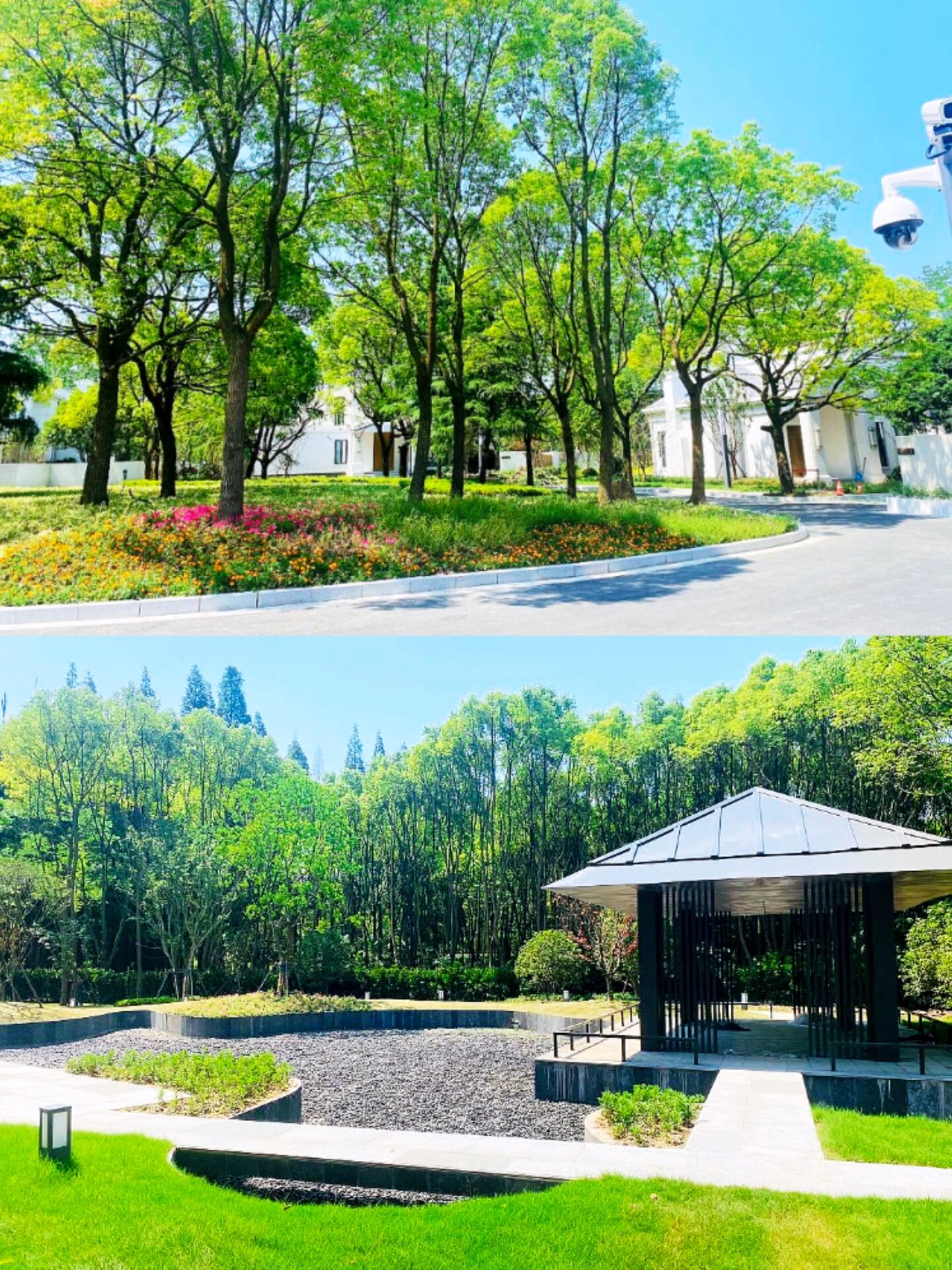 上海赏花踏青好去处| 上海宝岛森林衡山酒店 周末君发现,魔都爸妈周末