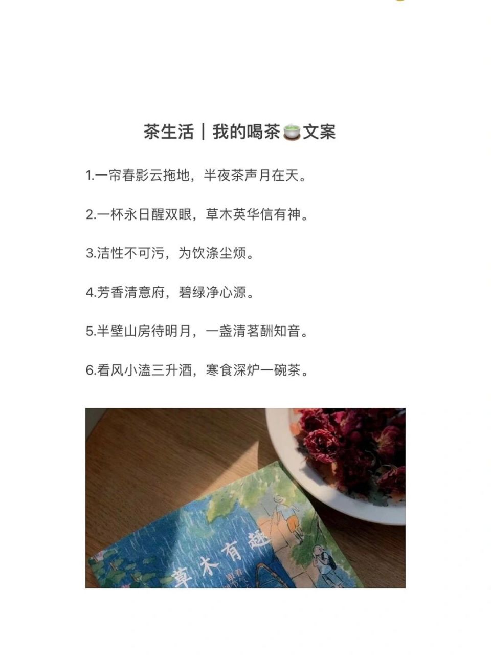 简简单单茶文案,适合发朋友圈 95茶生活 |我的喝茶95文案 1.