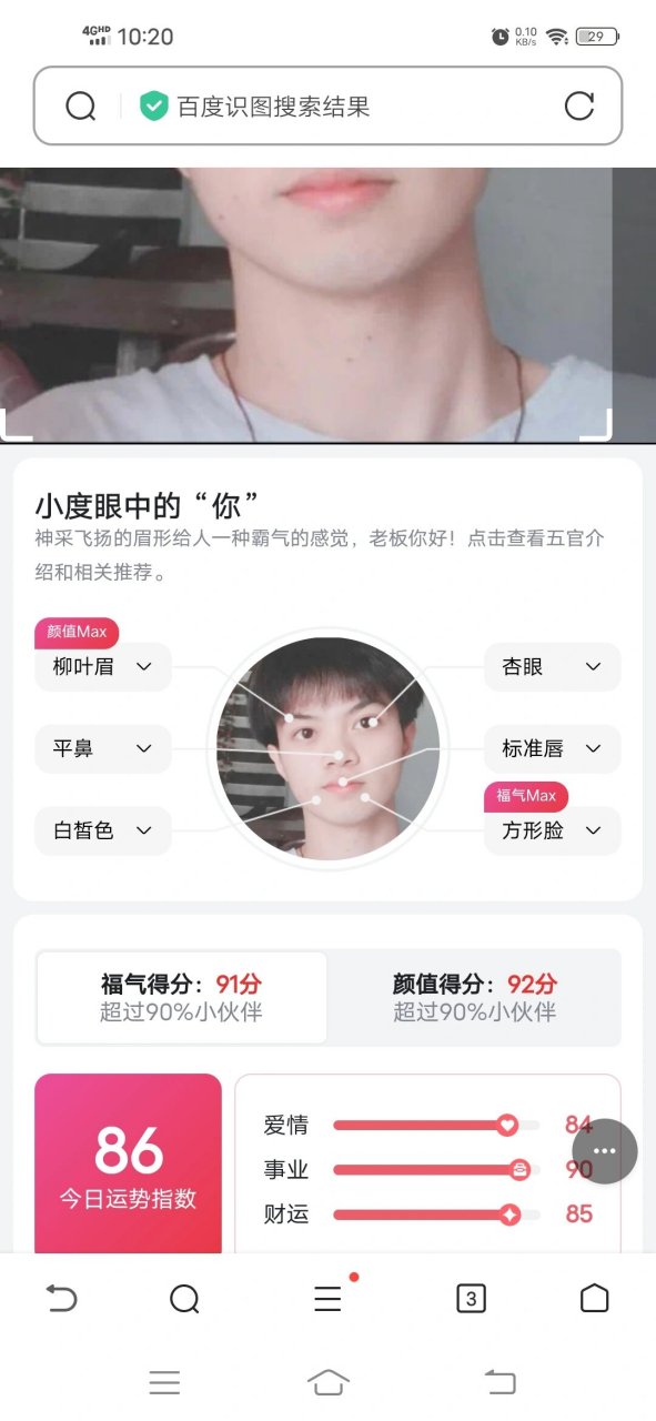 百度识图 柳叶眉 杏眼 平鼻?还是方形脸
