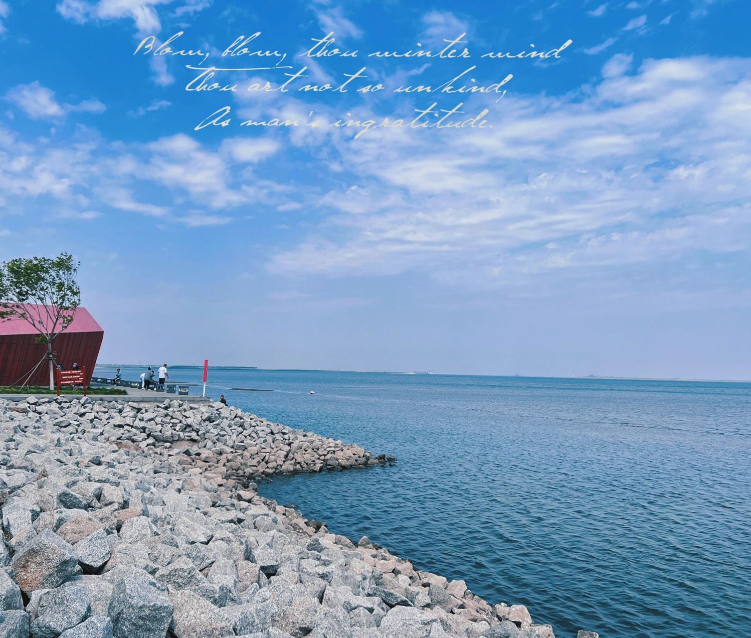 东堤公园or 东疆公园 09  东堤公园很适合搭帐篷放风筝09   烧烤