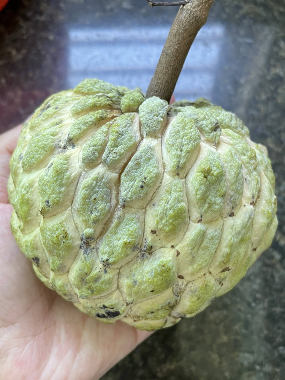 潮汕特产,林檎,汕头市澄海樟林产的最有名,最好吃,长大才知道别人叫