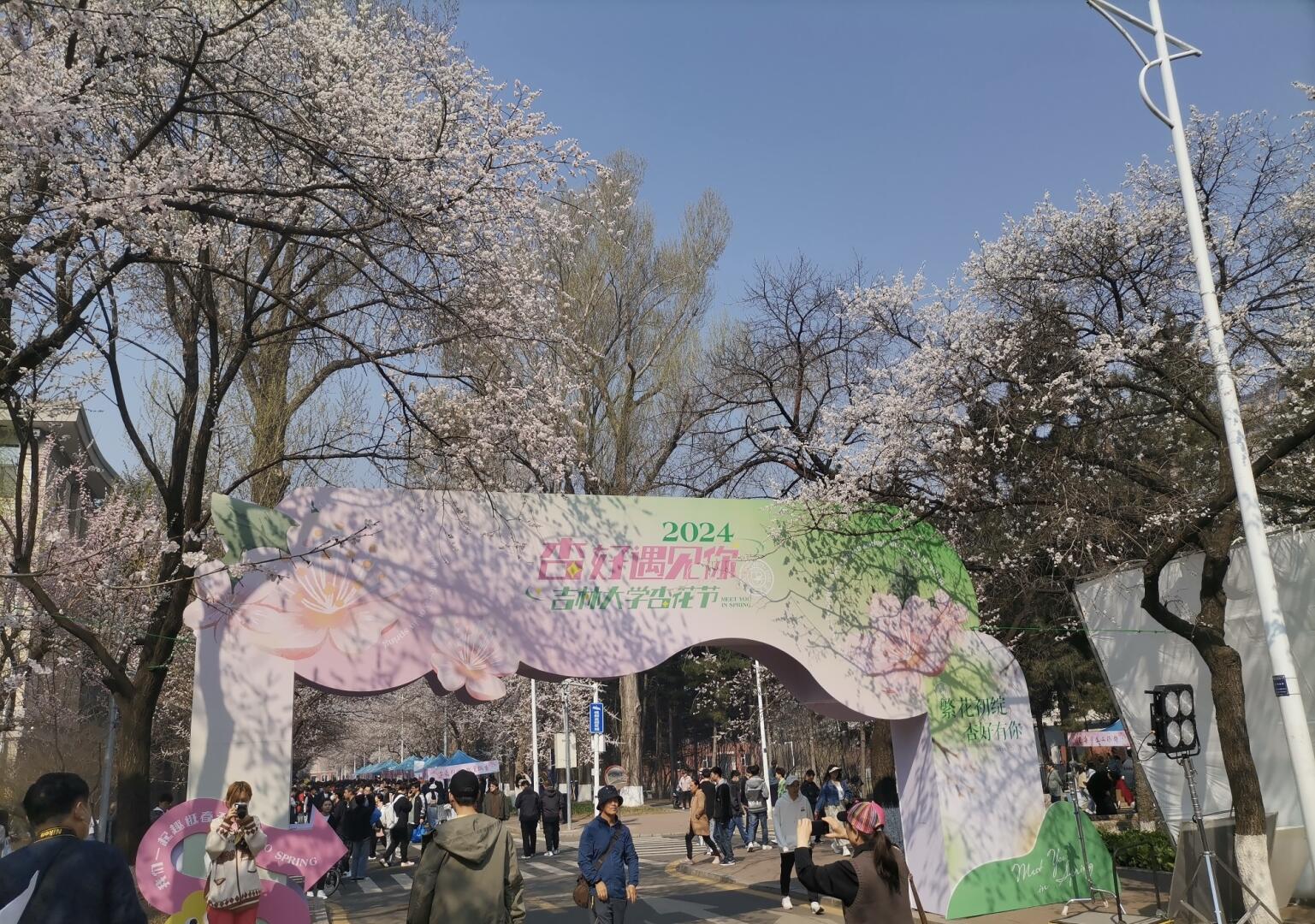 吉林大学杏花节