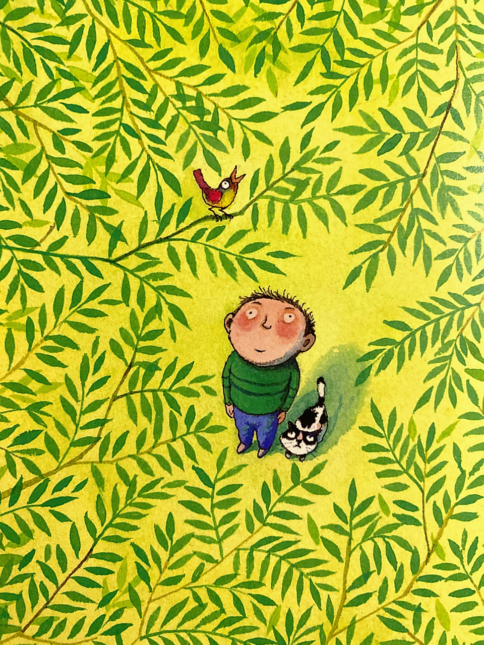 今天看了一本几米的绘本漫画书,喜欢几米的漫画和文字,每次看都有种被