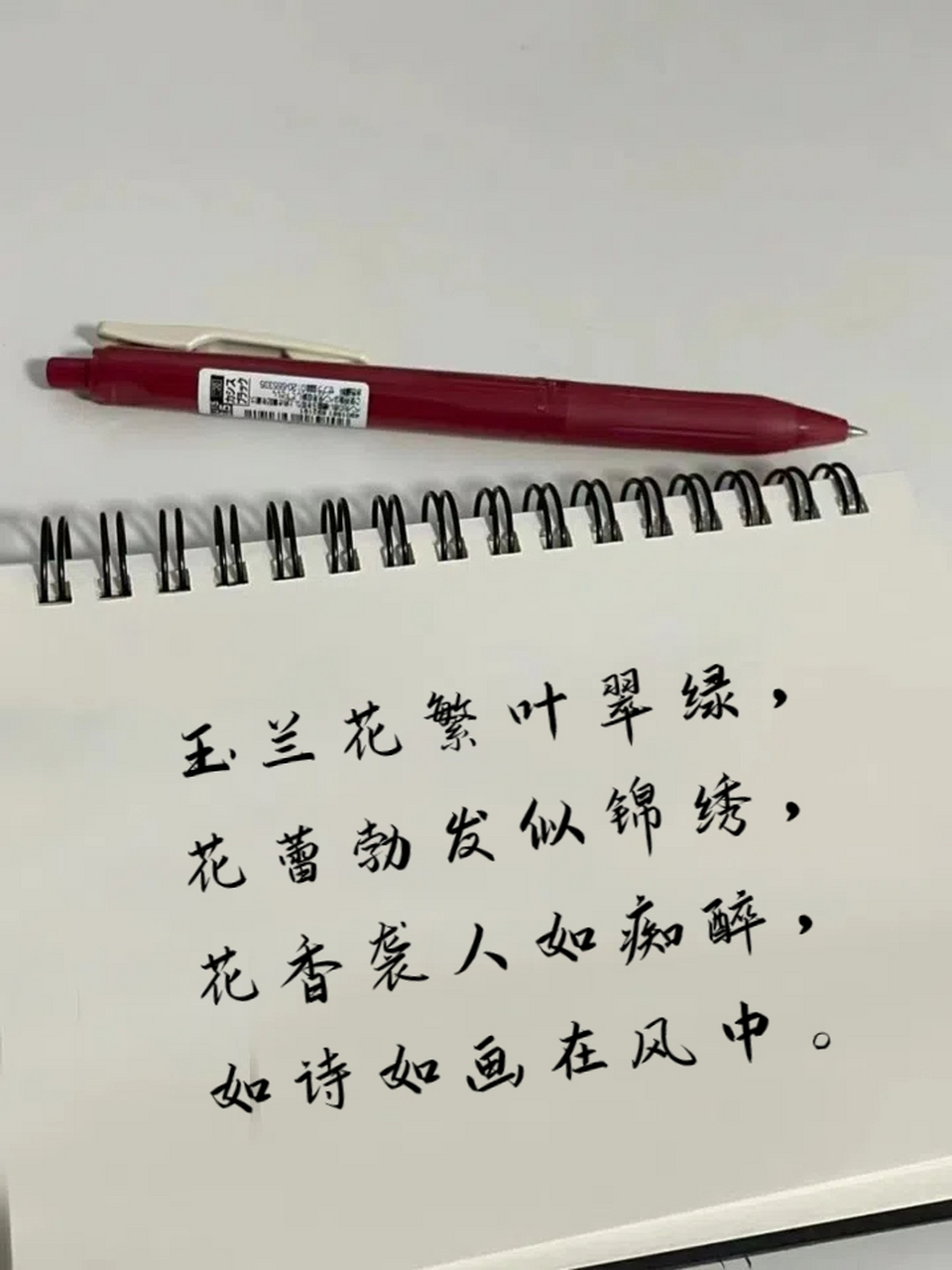 描写玉兰花的优美句子 1.