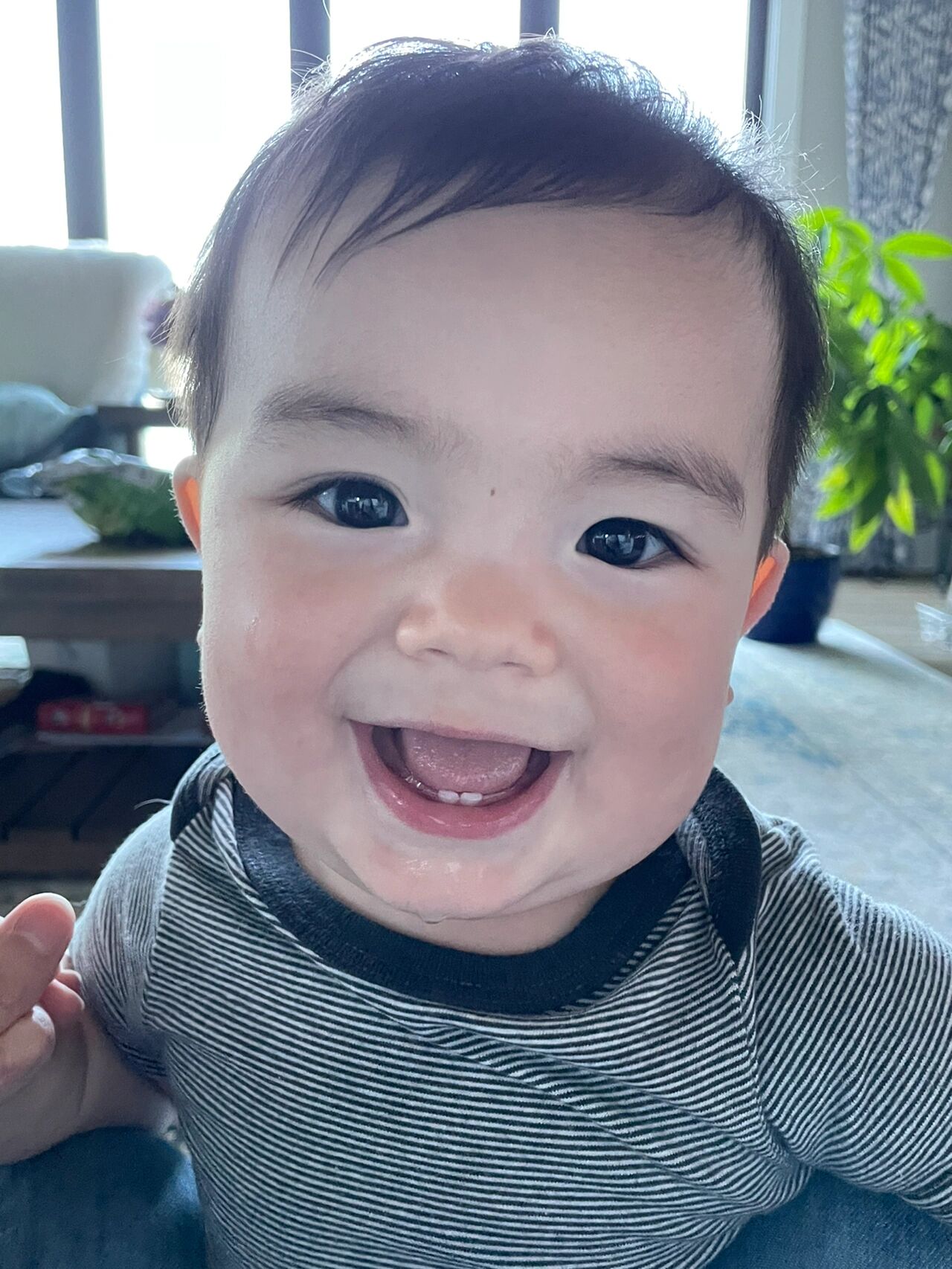 出生时的小黑孩居然变白了 老公是美国人,我是普通肤色的的中国人.