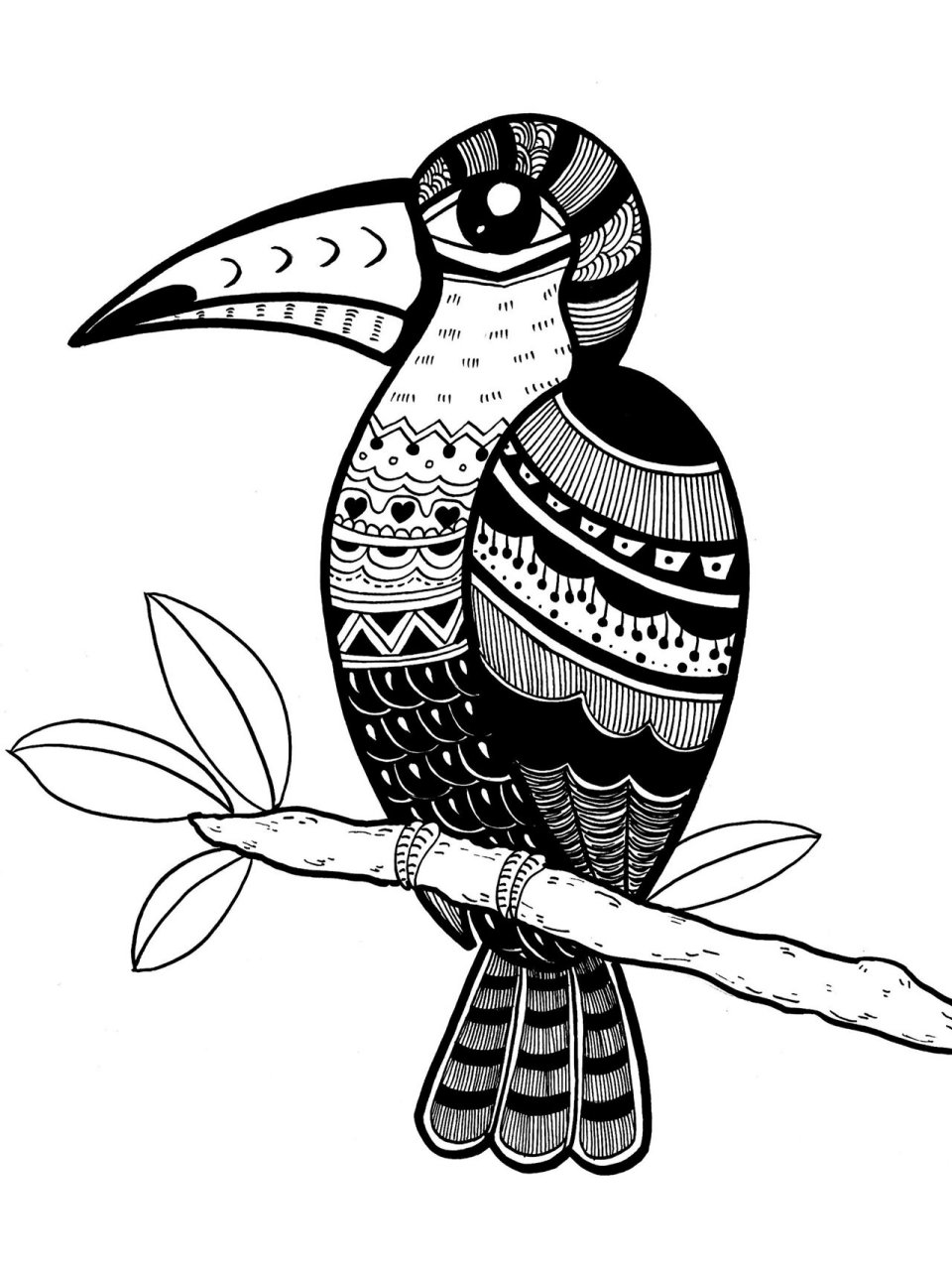 【每天还是要努力】100张线描装饰画1661576615  动物 大嘴鸟