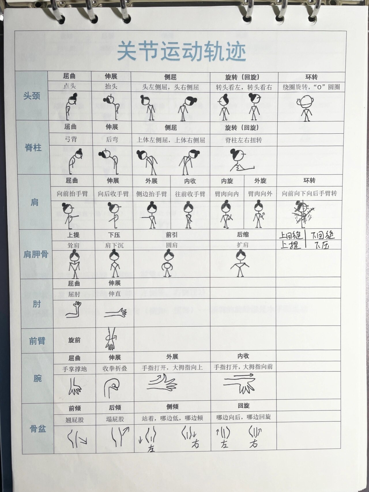 踝关节环转运动图片