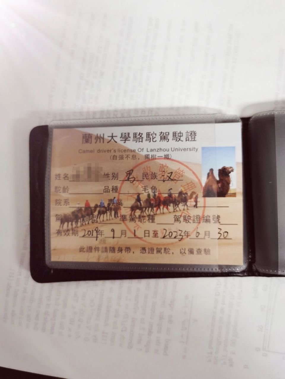 我天天骑骆驼上学!