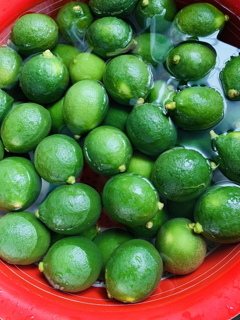 咸柠檬 (我怕钢筋,前排提示,此方仅供参考751575157515