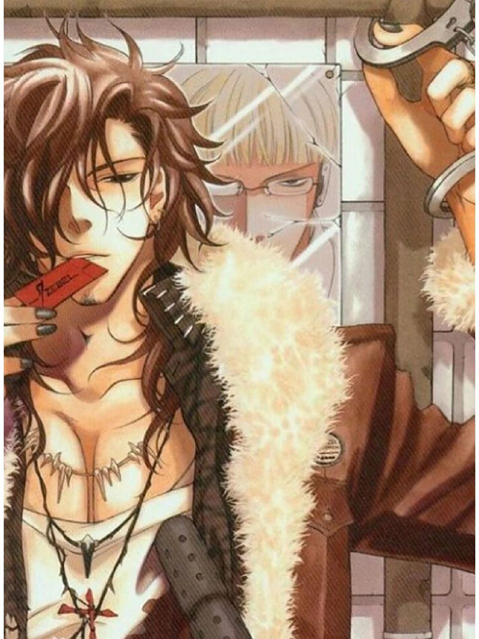 给大家介绍一部冷门的双男主吸血鬼题材的动画 血咒圣痕 也是比较早的