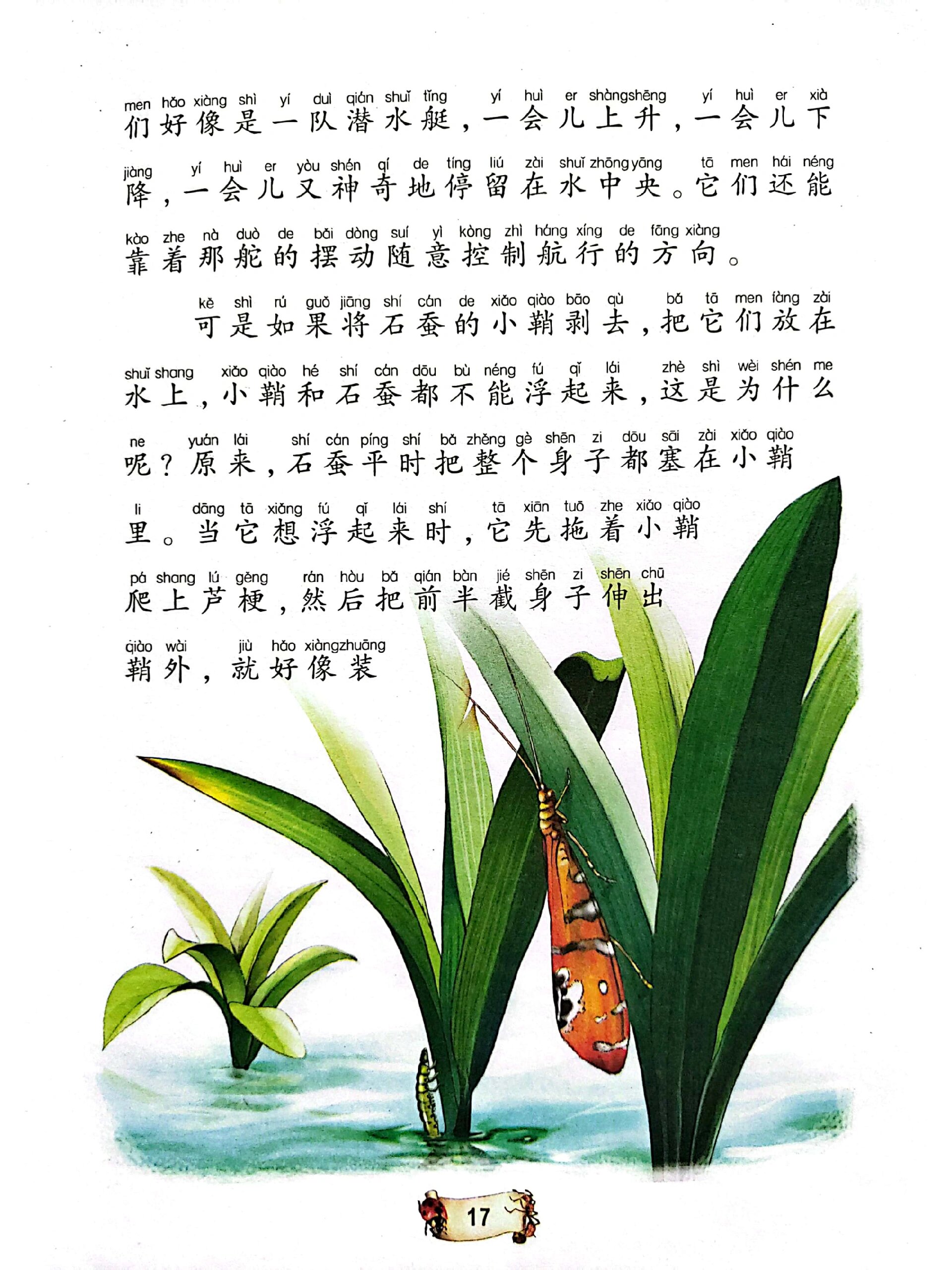 昆虫记——石蚕