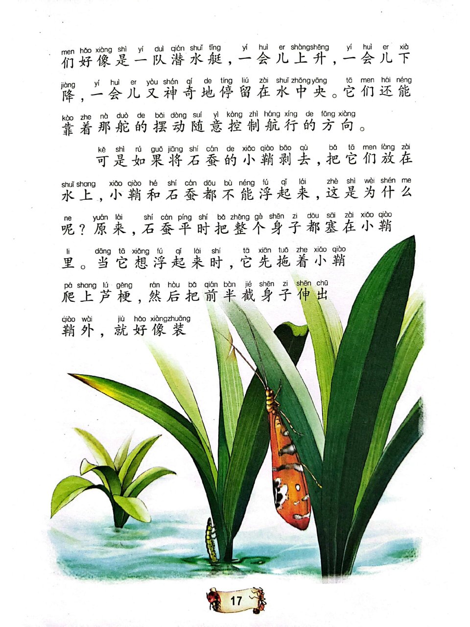 昆虫记——石蚕