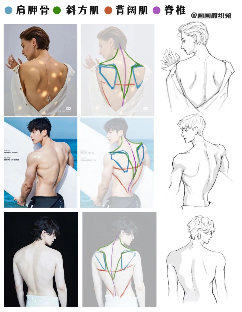 不同角度的背部画法 人体背部绘画的一些知识点: 1,背部轮廓形状可以