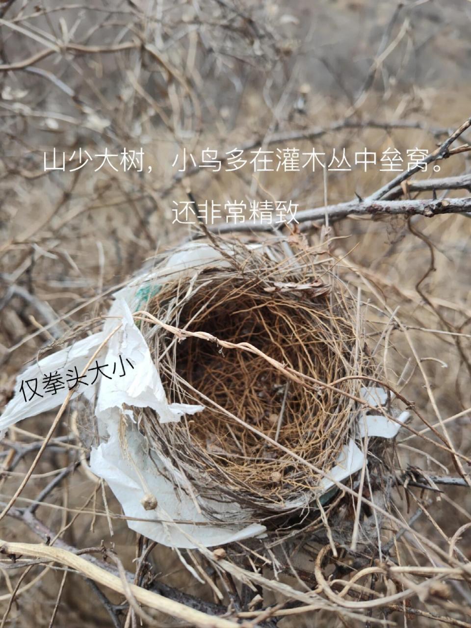 关键词:险峰第一 ,齐长城遗址,道士帽,单面山,梯田错落,小鸟窝,山石