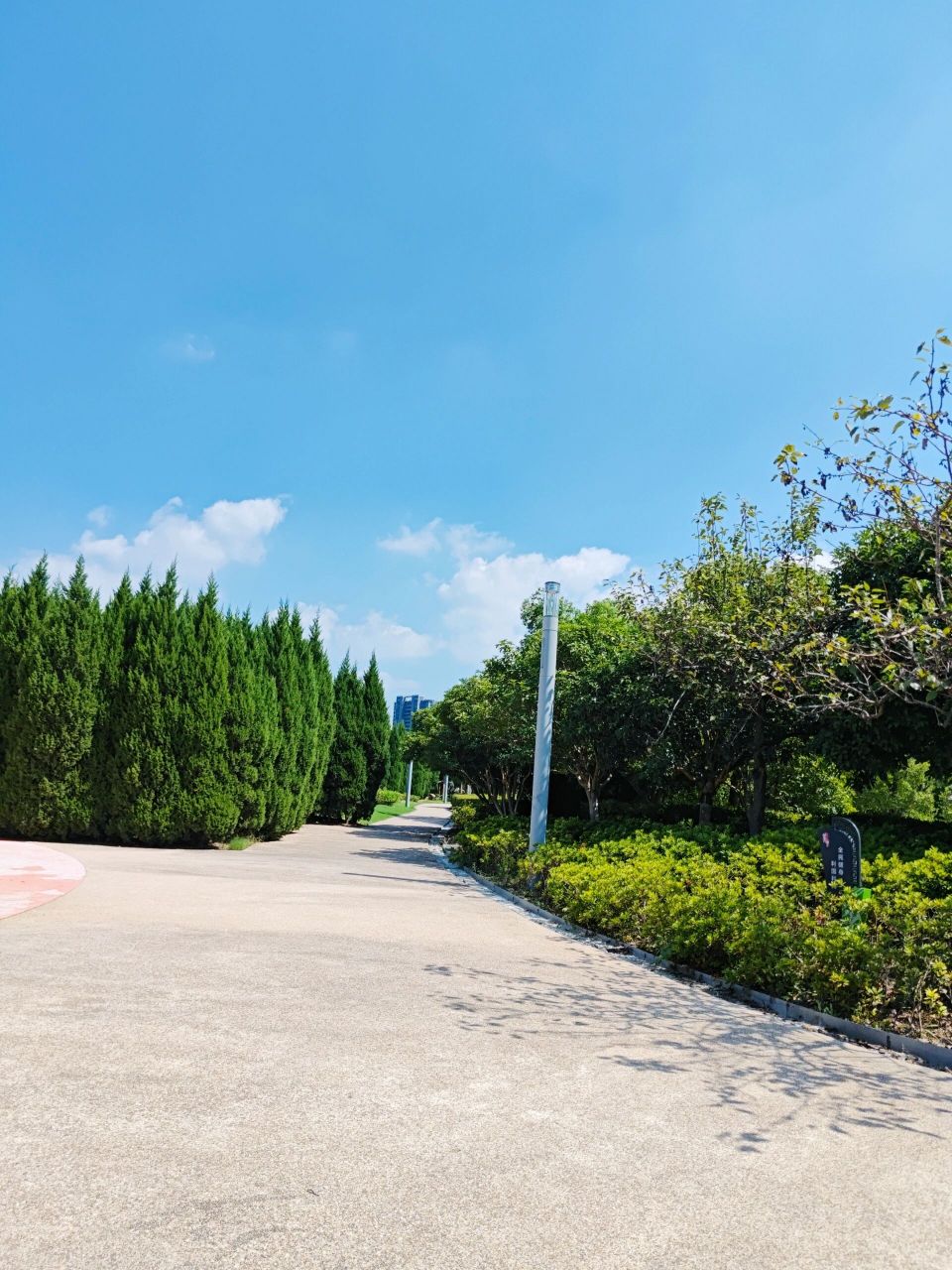 吴中区天鹅湖公园 遛娃好去处,无需门票 避免室内游乐园的拥挤,满足大