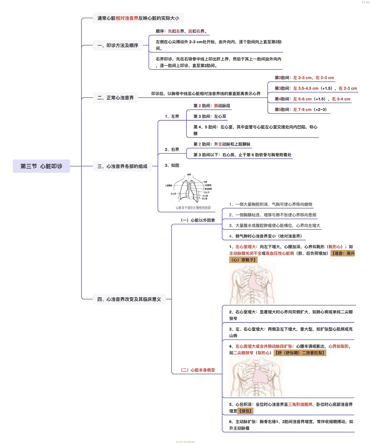 诊断学思维导图 — 02心脏检查(一) 96 心脏检查 11566 心脏