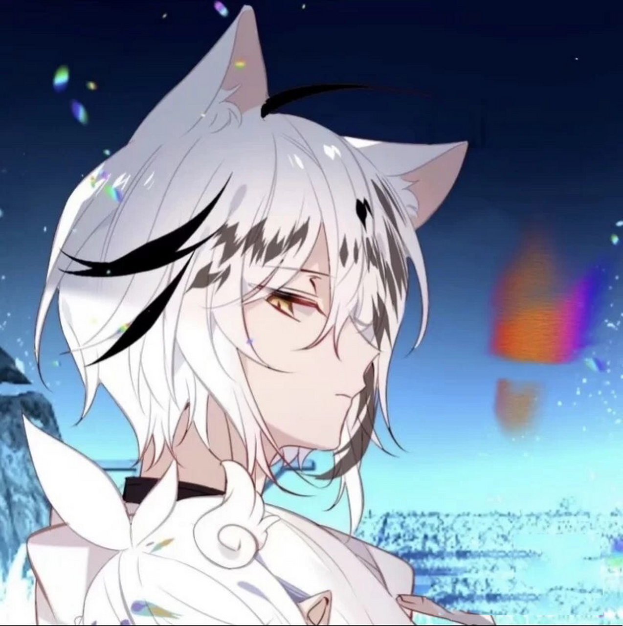 《吾凰在上》白.希情头