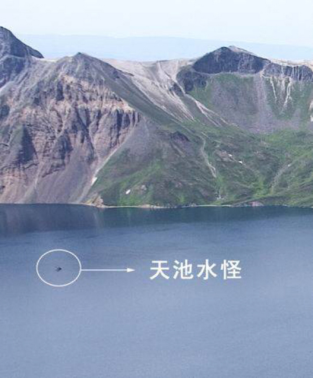 "天池怪兽"的形状在众说纷坛中成了多种多样.