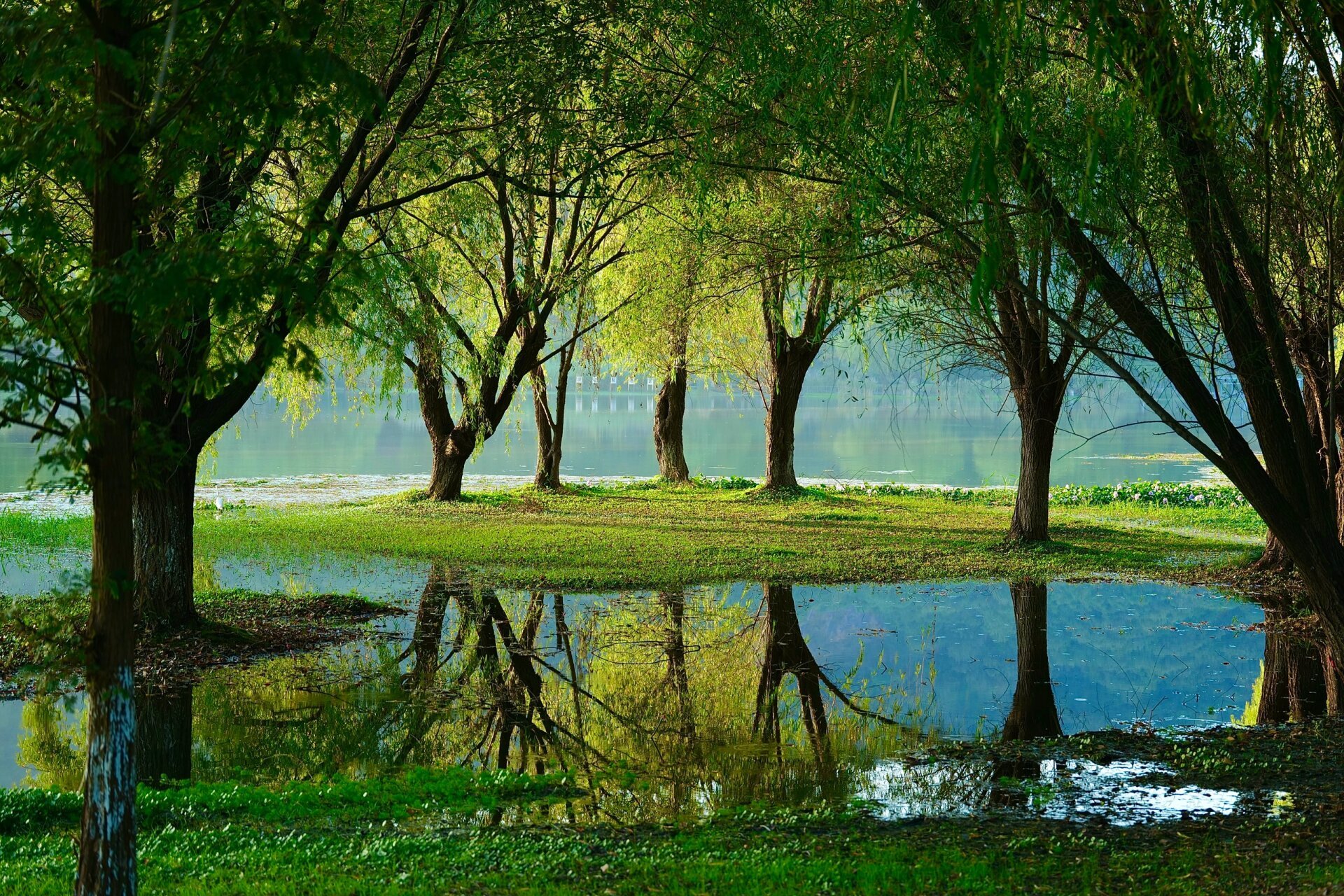 无锡长广溪湿地公园～ 漫步公园真的很治愈! 从东门进哦