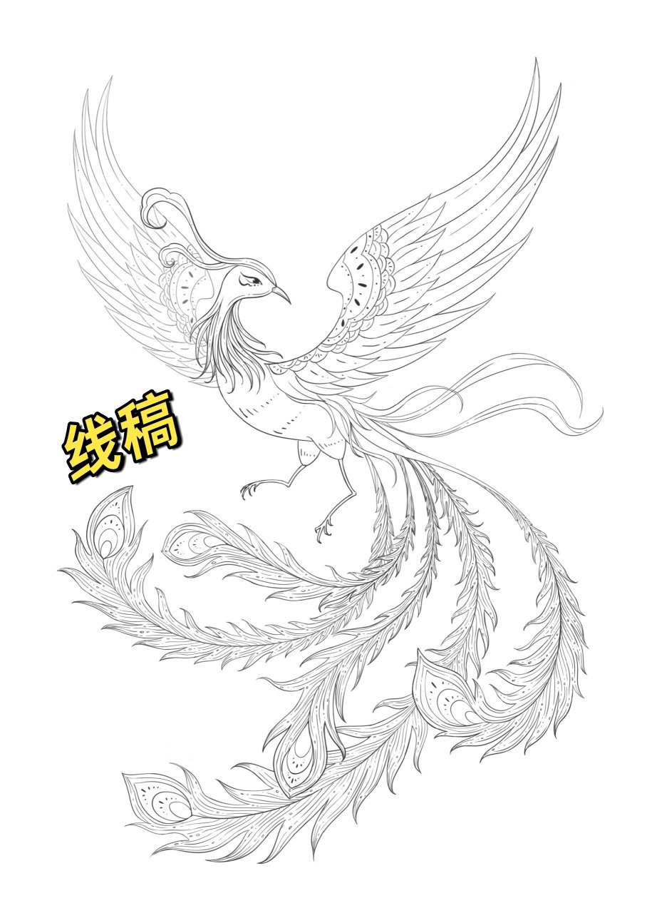 忘记发作业了,第六大节画凤凰,神话里面经常有看到青鸾这种神鸟,尝试