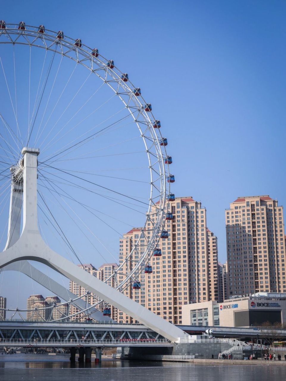 冬天来天津看海鸥啦 春节这几天气温骤降 海河上结了一层厚厚的冰06