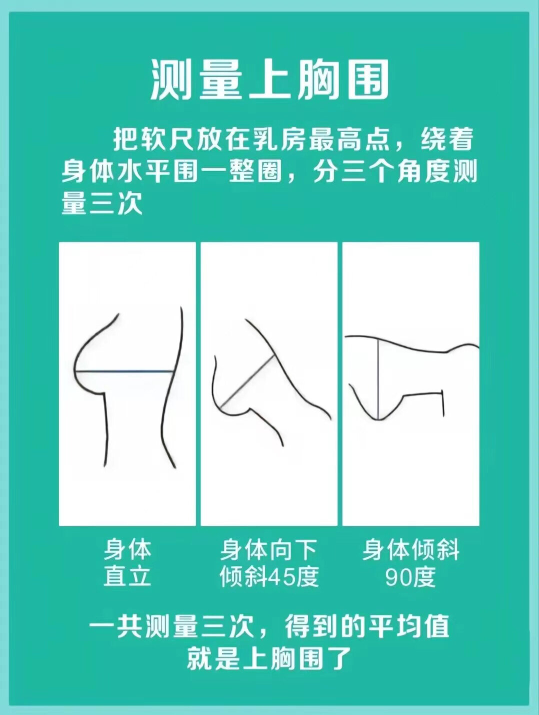 手把手教你如何正确测量内衣尺码71