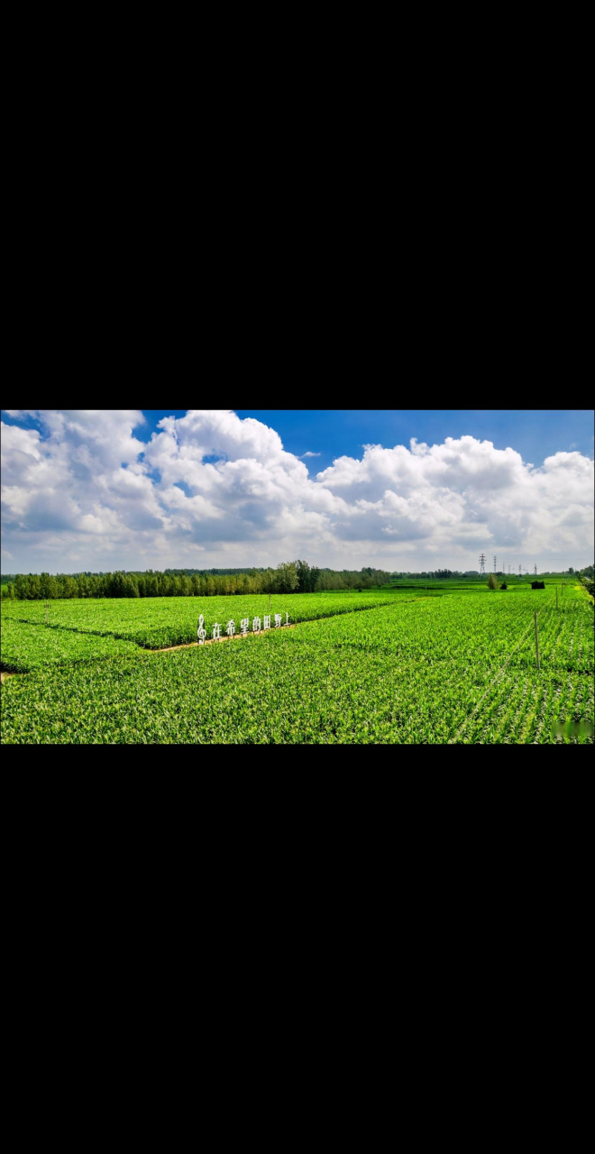 汶上县摄影家协会走进白石镇进行采风活动遇见济宁 汶上 乡村振兴